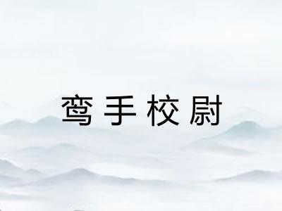 鸾手校尉