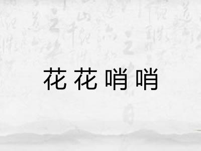花花哨哨