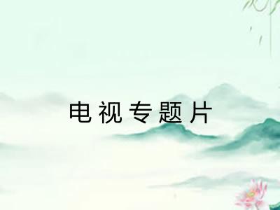 电视专题片