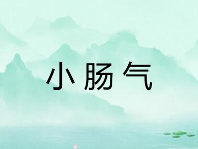 小肠气