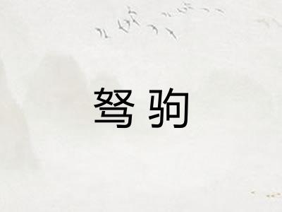 驽驹