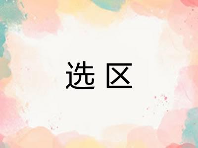 选区
