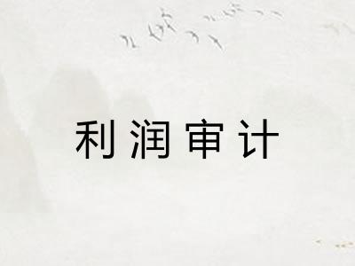 利润审计