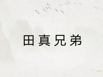 田真兄弟