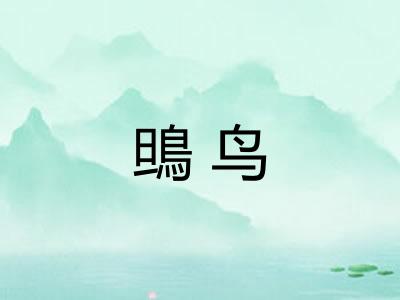 鴠鸟
