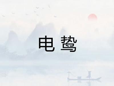电鸷