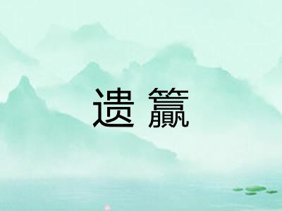 遗籯