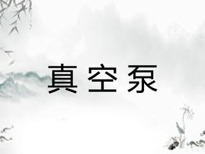 真空泵