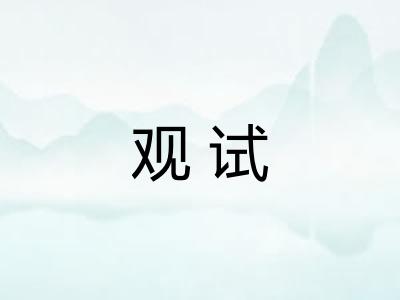 观试