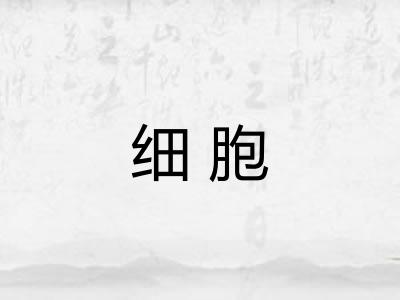 细胞