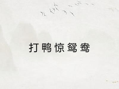 打鸭惊鸳鸯