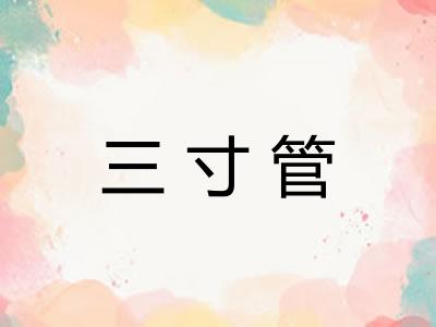 三寸管