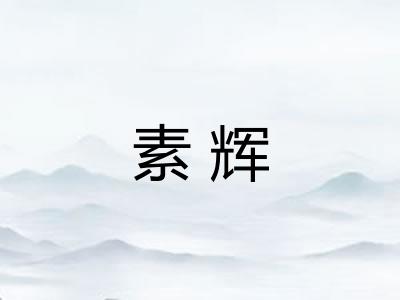 素辉