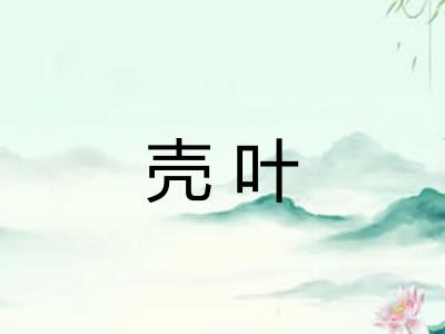 壳叶