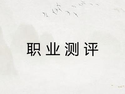 职业测评