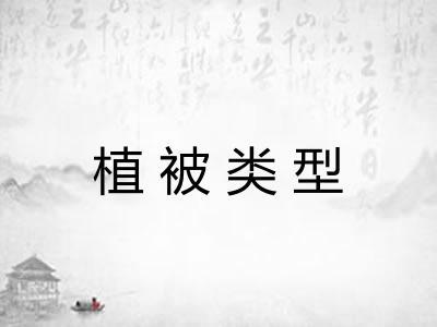 植被类型