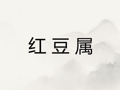 红豆属