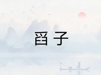 舀子