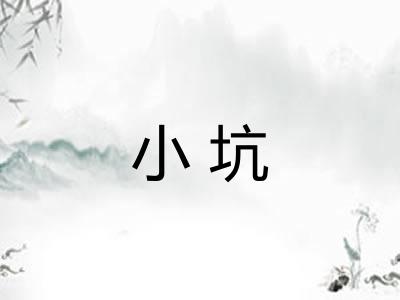 小坑