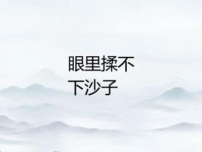 眼里揉不下沙子