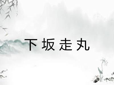 下坂走丸