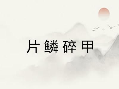 片鳞碎甲