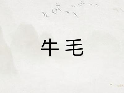 牛毛
