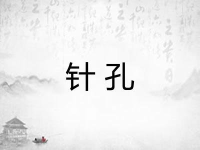 针孔