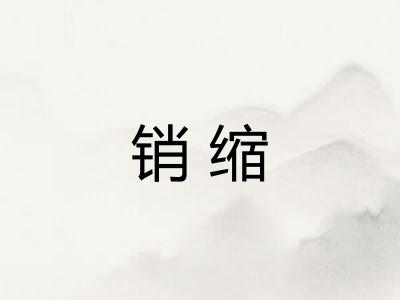 销缩