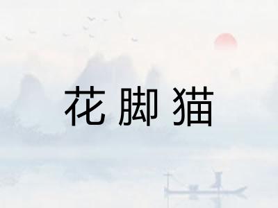 花脚猫