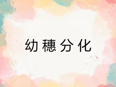 幼穗分化