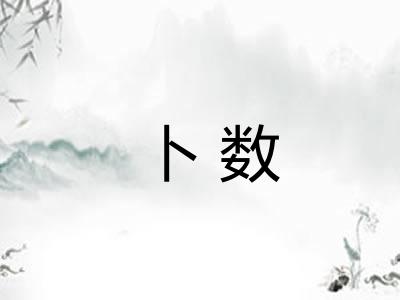 卜数