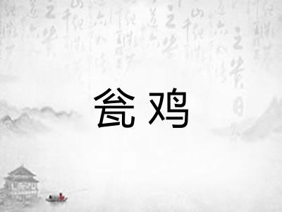 瓮鸡
