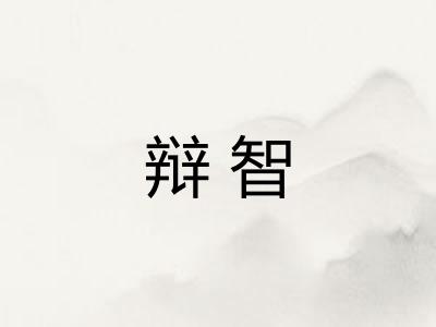 辩智