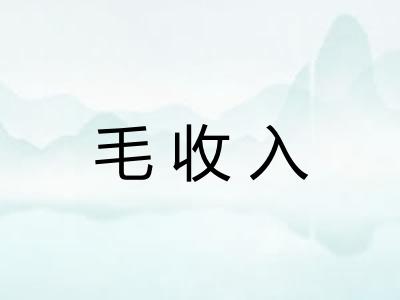 毛收入