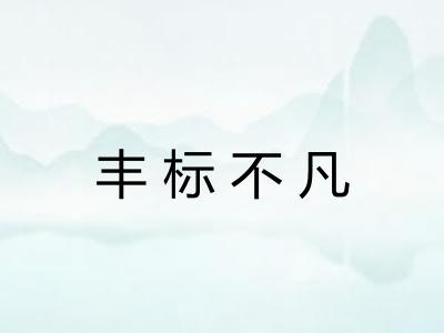 丰标不凡