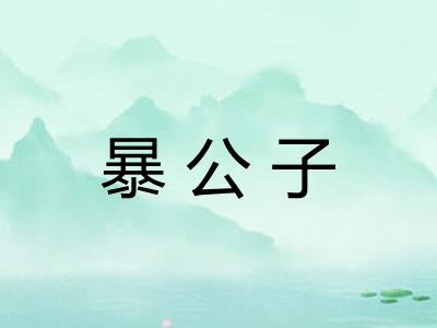 暴公子