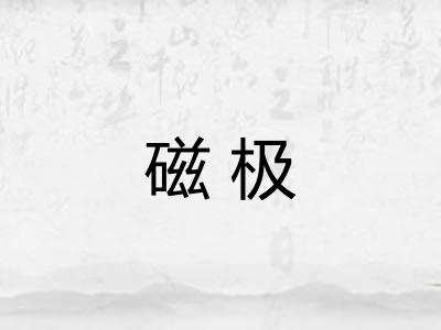 磁极