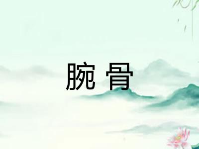 腕骨