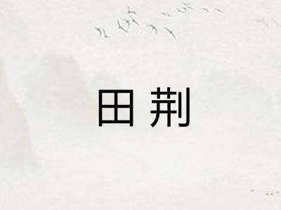 田荆