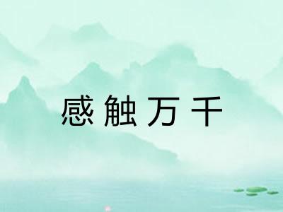 感触万千