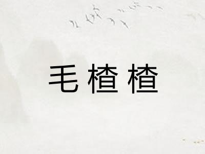 毛楂楂