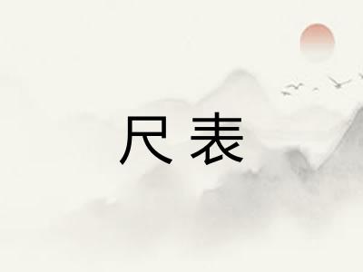 尺表