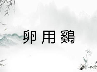 卵用鷄