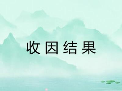 收因结果