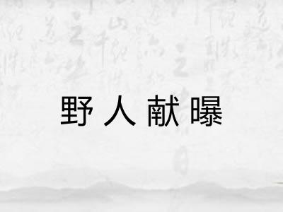 野人献曝