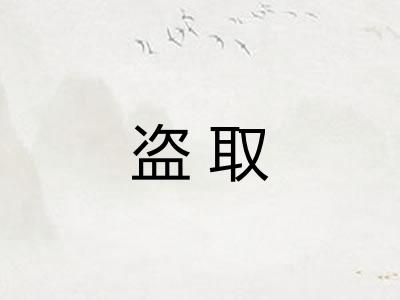 盗取