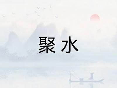 聚水
