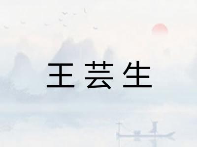 王芸生