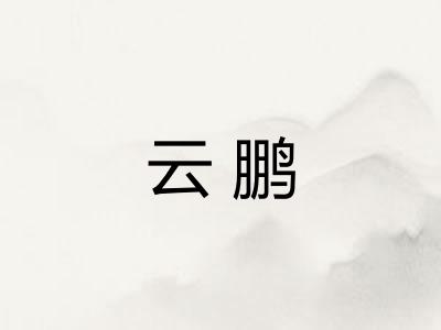 云鹏